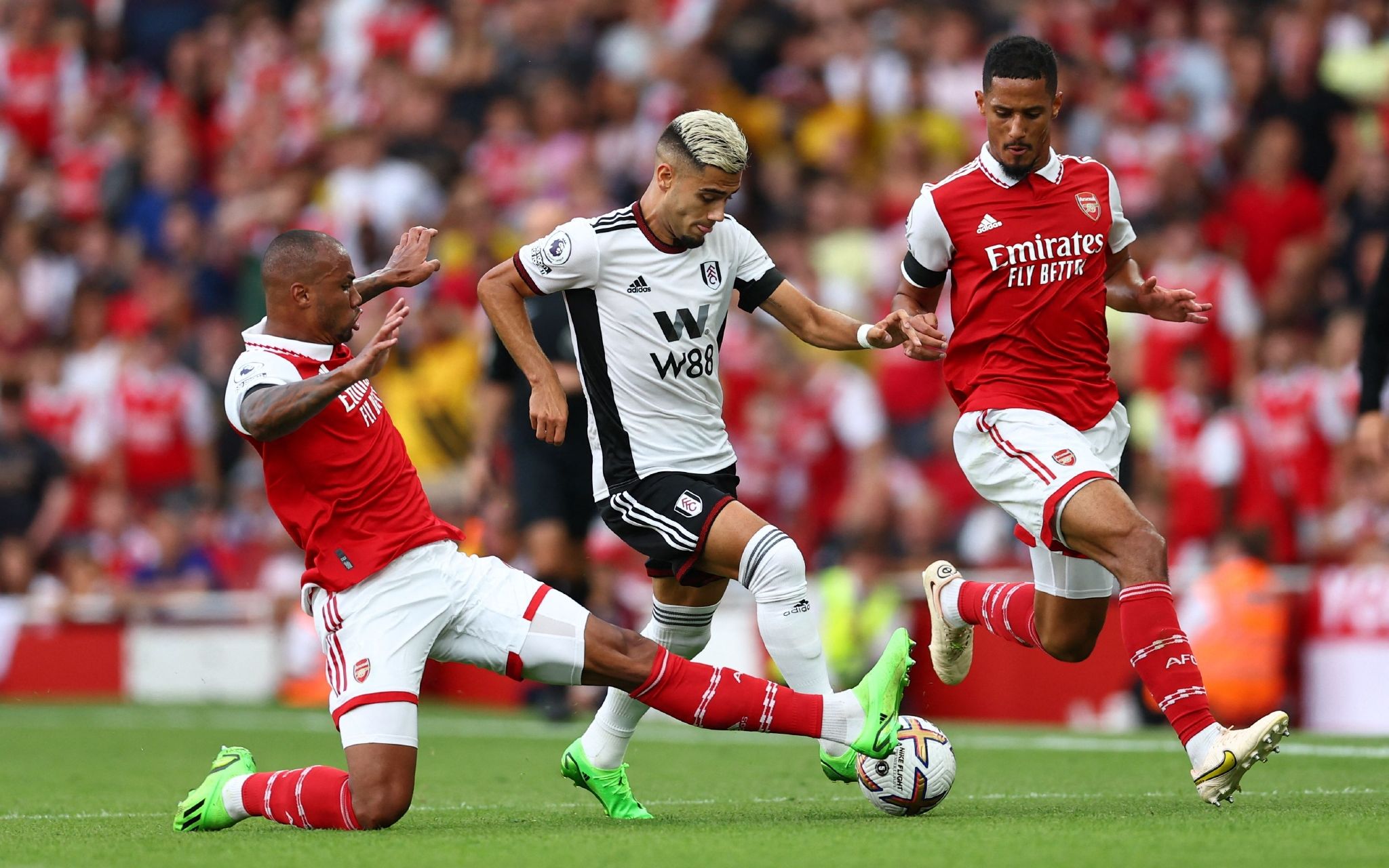 代的代表 代的代表